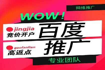 百度竞价广告托管运营的挑战与机遇——案例解读